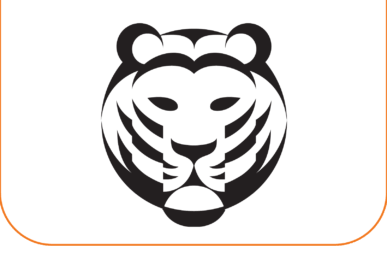 Tiger Bus Routes