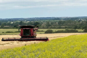 Cambridgeshire