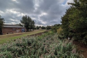 Flag Fen
