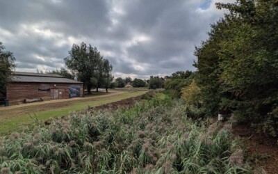 Flag Fen