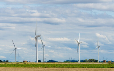 Glass Moor Windfarm, Peterborough